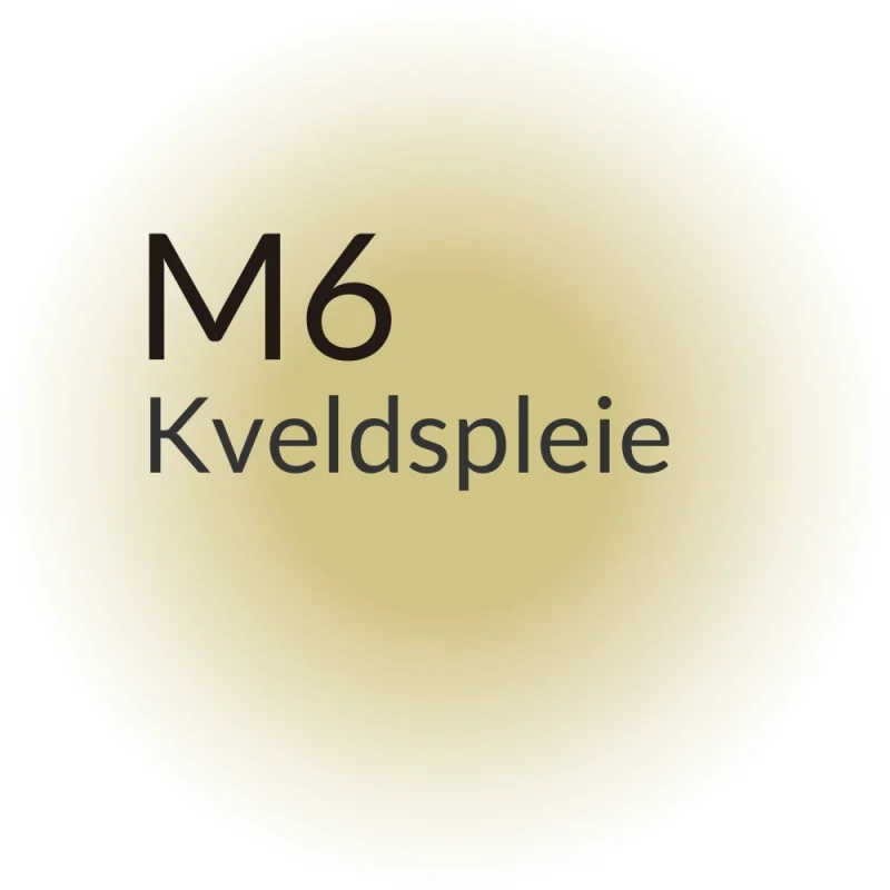 Kveldspleie